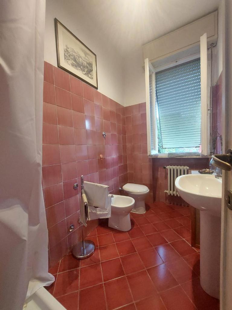 Sauro 43 Apartman Pisa Kültér fotó