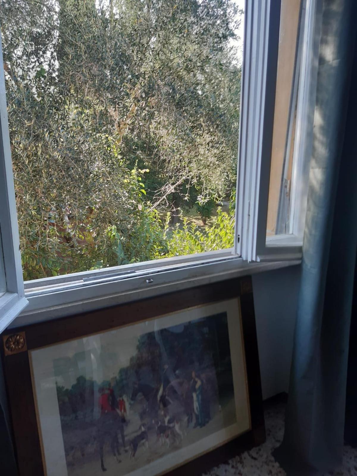 Sauro 43 Apartman Pisa Kültér fotó